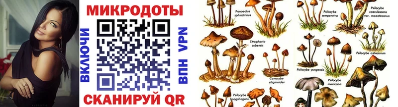 Псилоцибиновые грибы мицелий  Ковдор 