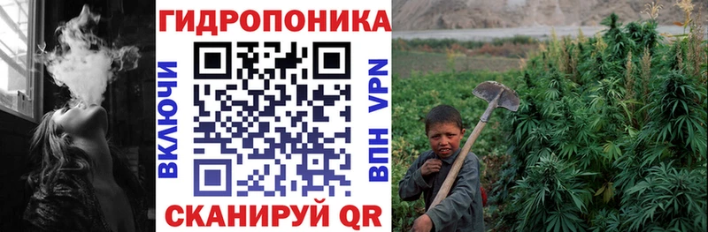 Конопля VHQ Ковдор